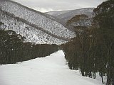 hotham blue ribbon run