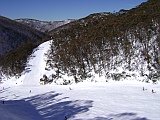 hotham down snake valley